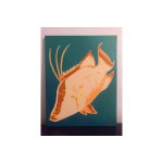 Hog Fish